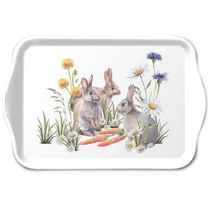 Bandeja de melamina Carrot Treat