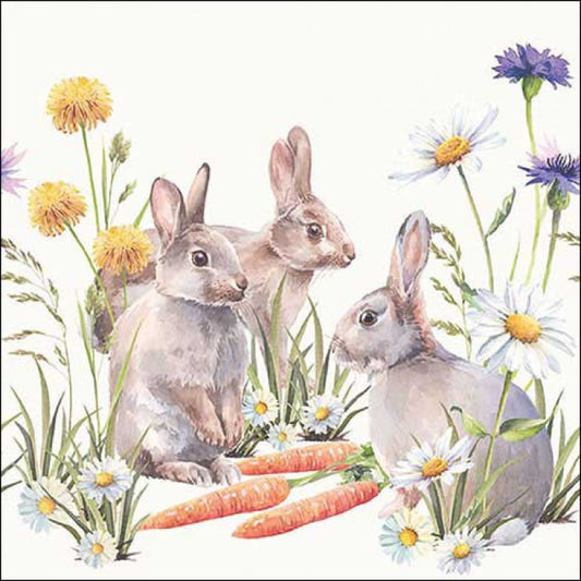 Servilletas decoradas Carrot Treat 20 uds.