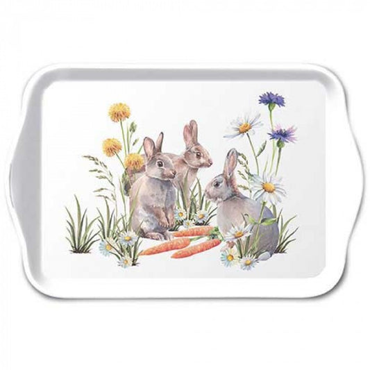 Bandeja de melamina Carrot Treat