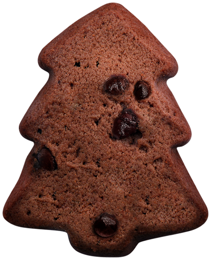 Galletas Winter Edition Choco Lady Joseph 100 gr. 14 uds.