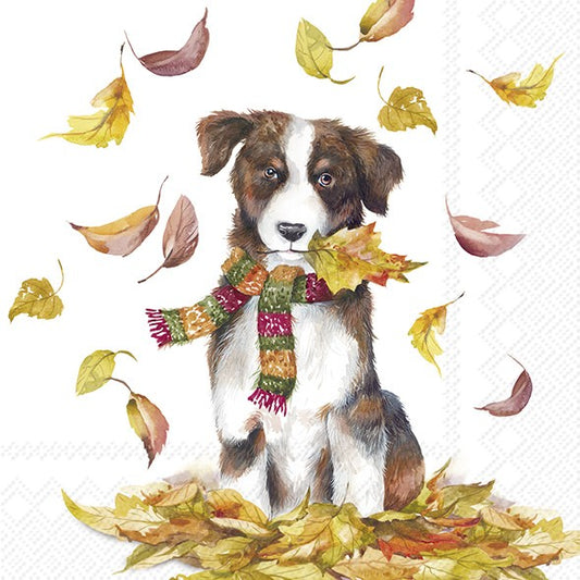 Servilletas decoradas Perrito en otoño tamaño cocktail 20 uds.