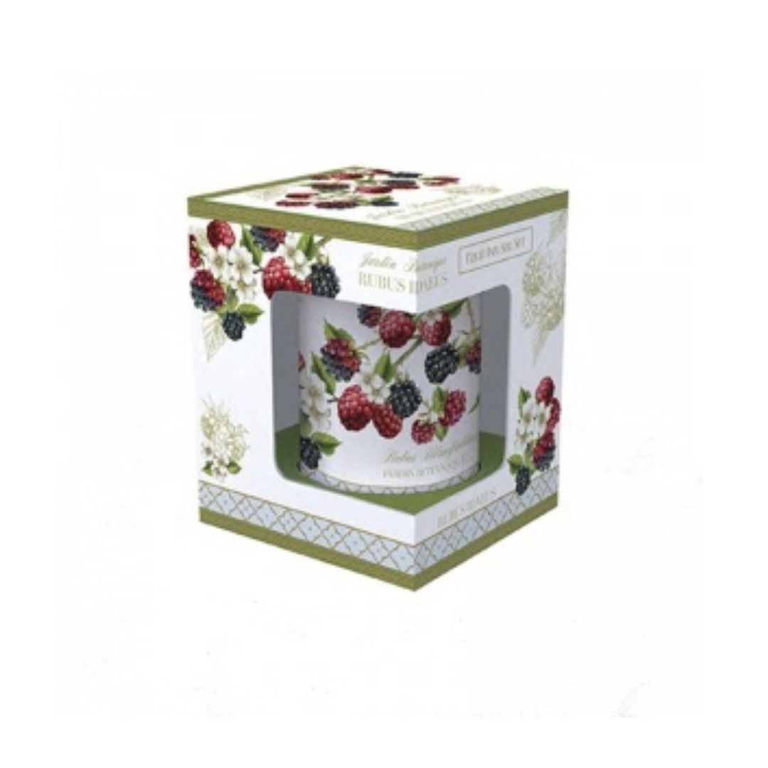 Taza de porcelana con tapa y filtro Frutos del Bosque 300 ml.