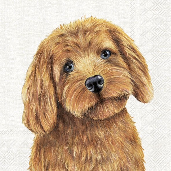 Servilletas decoradas Farm Dog