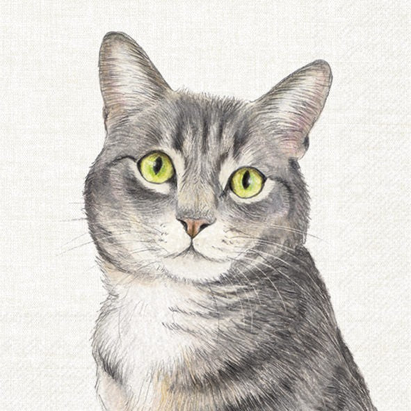 Servilletas decoradas Farm Cat 20 uds.