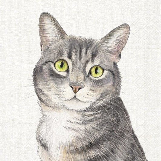 Servilletas decoradas Farm Cat 20 uds.