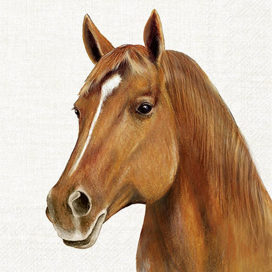 Servilletas decoradas Farm Horse 20 uds.
